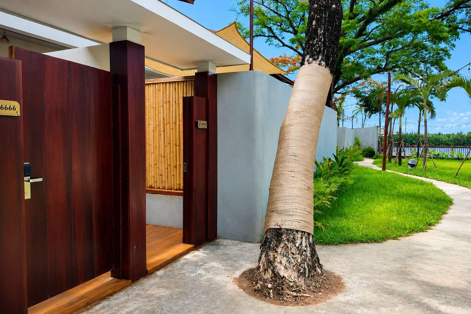 The entrance path to the resort, past a coconut palm